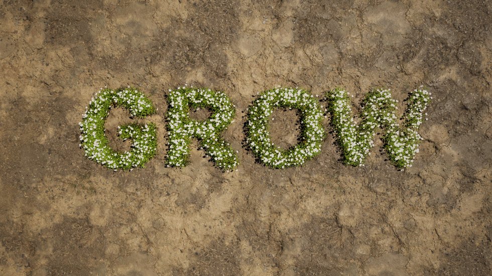Grow V1